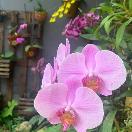 Casa Das Flores Chapada dos Guimarães Eksteriør bilde